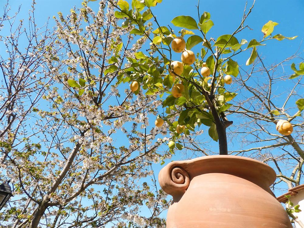 Bacio Del Sole B&B Positano Buitenkant foto